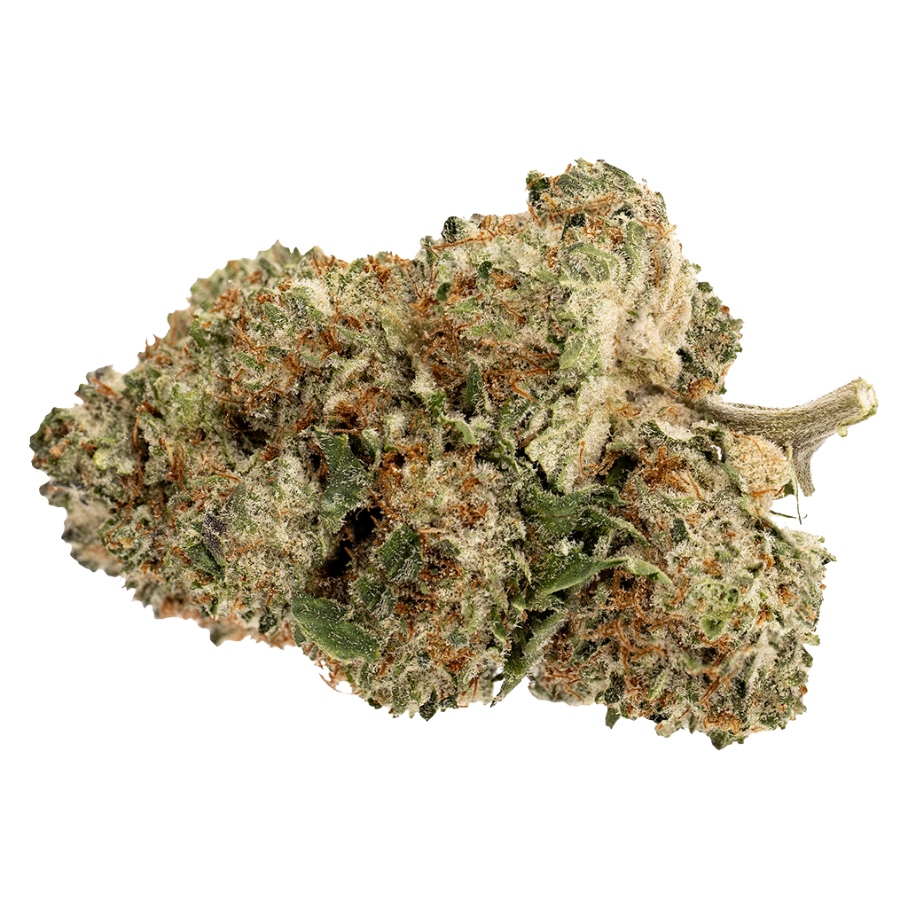 Pink Rhino